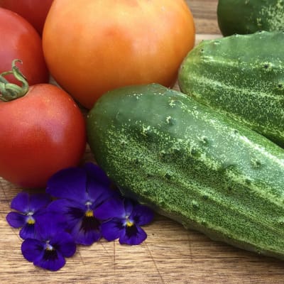 Cucumber seeds