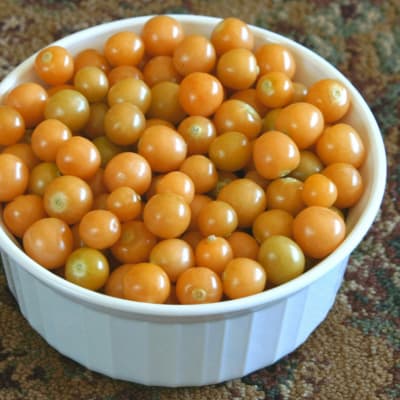 Ground Cherry 'Aunt Molly's'
