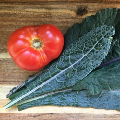 Kale 'Dazzling Blue'