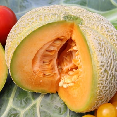 Melon 'Golden Jenny'
