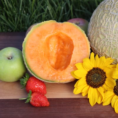 Melon 'Honey Rock'