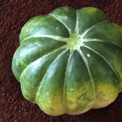 Melon 'Noir des Carmes'