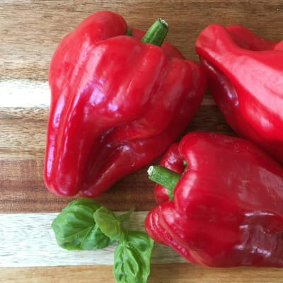 Pepper 'Ausilio Thin Skin Italian'
