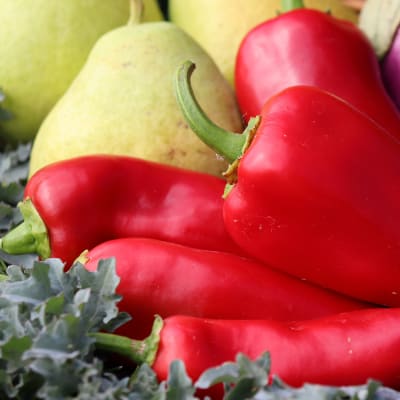 Pepper 'Chervena Chushka'