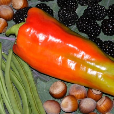 Pepper 'Giant Aconcagua'