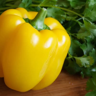 Pepper 'Golden Cal Wonder'