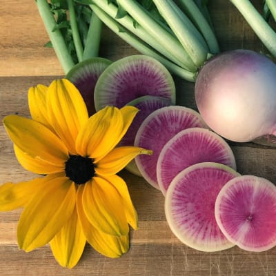 Radish 'Watermelon'