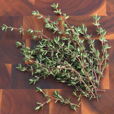 Thyme 'German Winter'