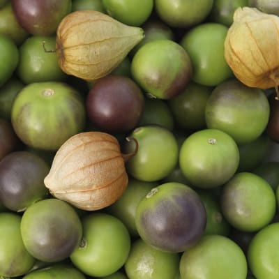 Tomatillo 'Mountain Pima'