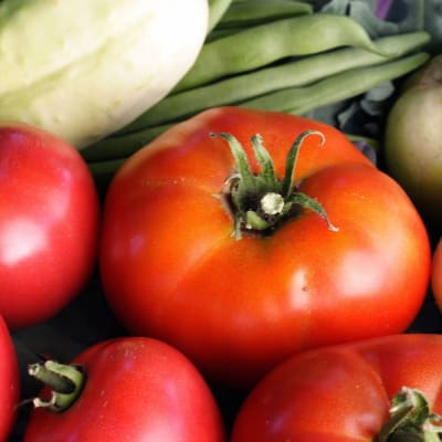 Tomato 'Abe Lincoln'