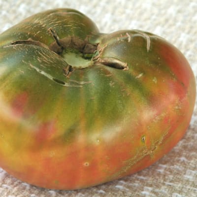 Tomato 'Ananas Noire'