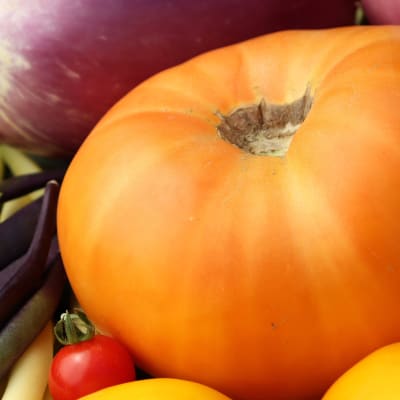 Tomato 'Azoychka Peach'