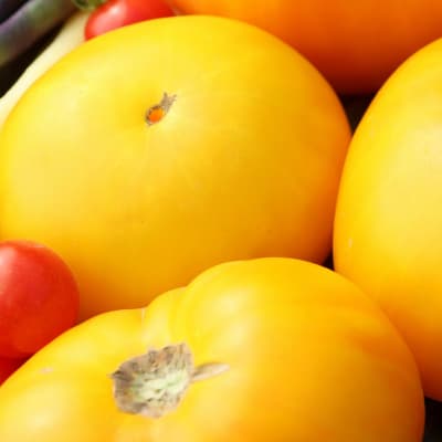 Tomato 'Azoychka'