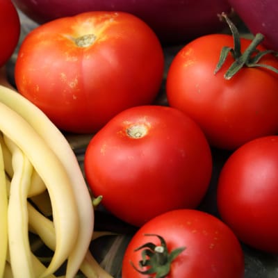 Tomato 'Bulgarian Triumph'