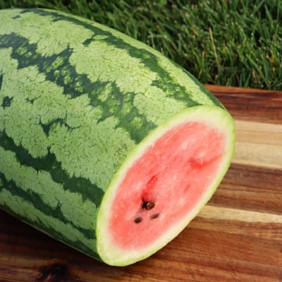 Watermelon 'Georgia Rattlesnake'