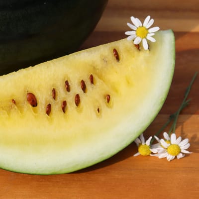 Watermelon 'Janosik'