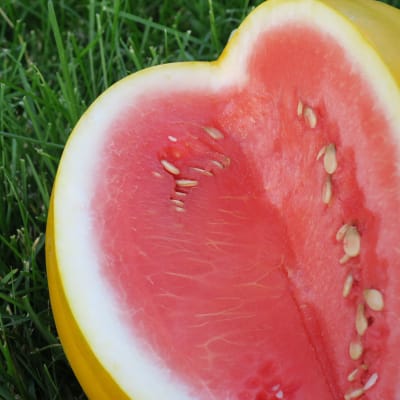 Watermelon 'Royal Golden'