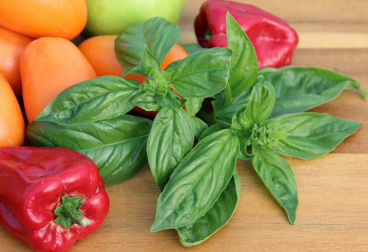 Basil 'Lettuce Leaf'