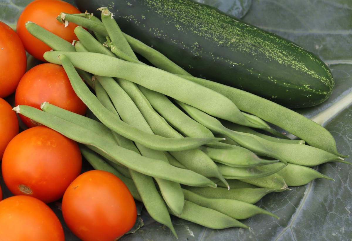 Bean 'Mbombo'