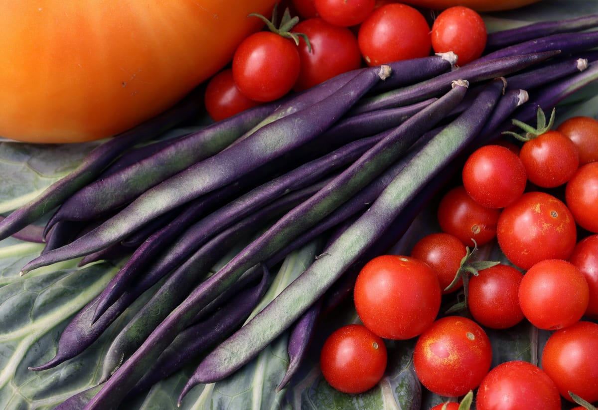 Bean 'Purple Podded Pole'