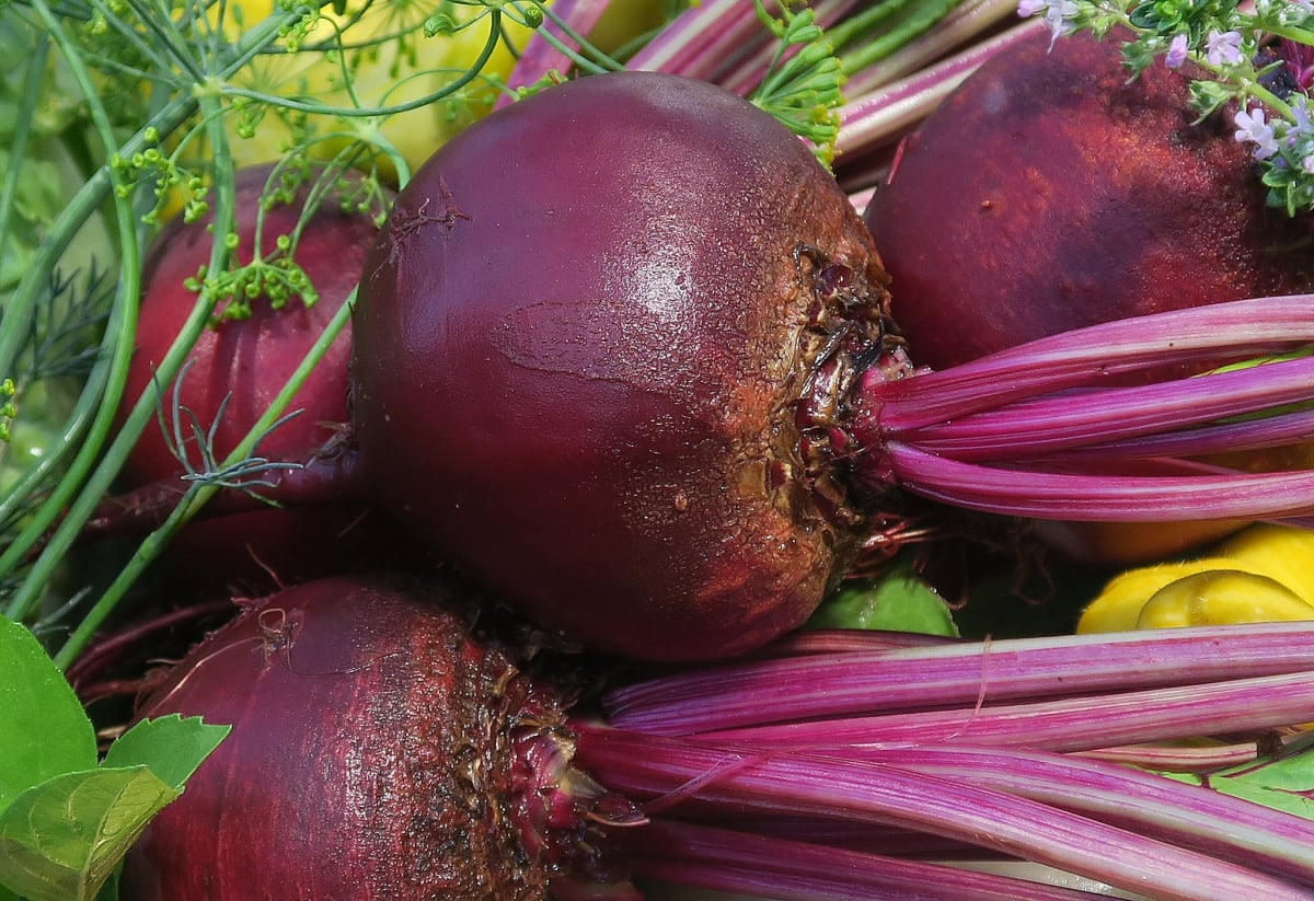 Beet 'Detroit Dark Red'