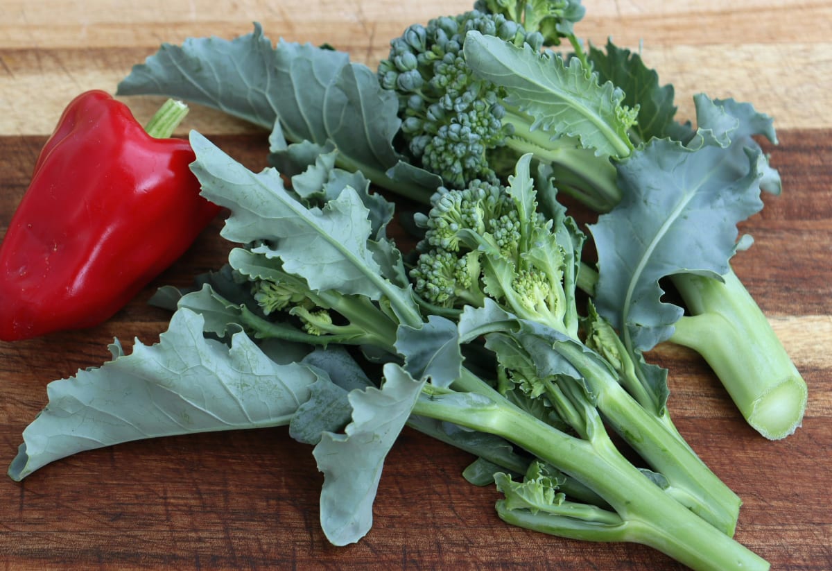 Broccoli 'Green Sprouting Calabrese'