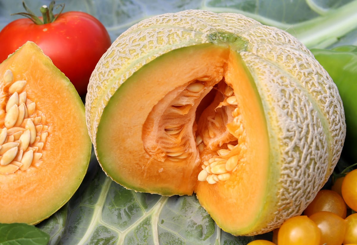 Melon 'Golden Jenny'