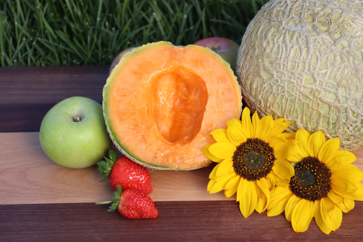 Melon 'Honey Rock'