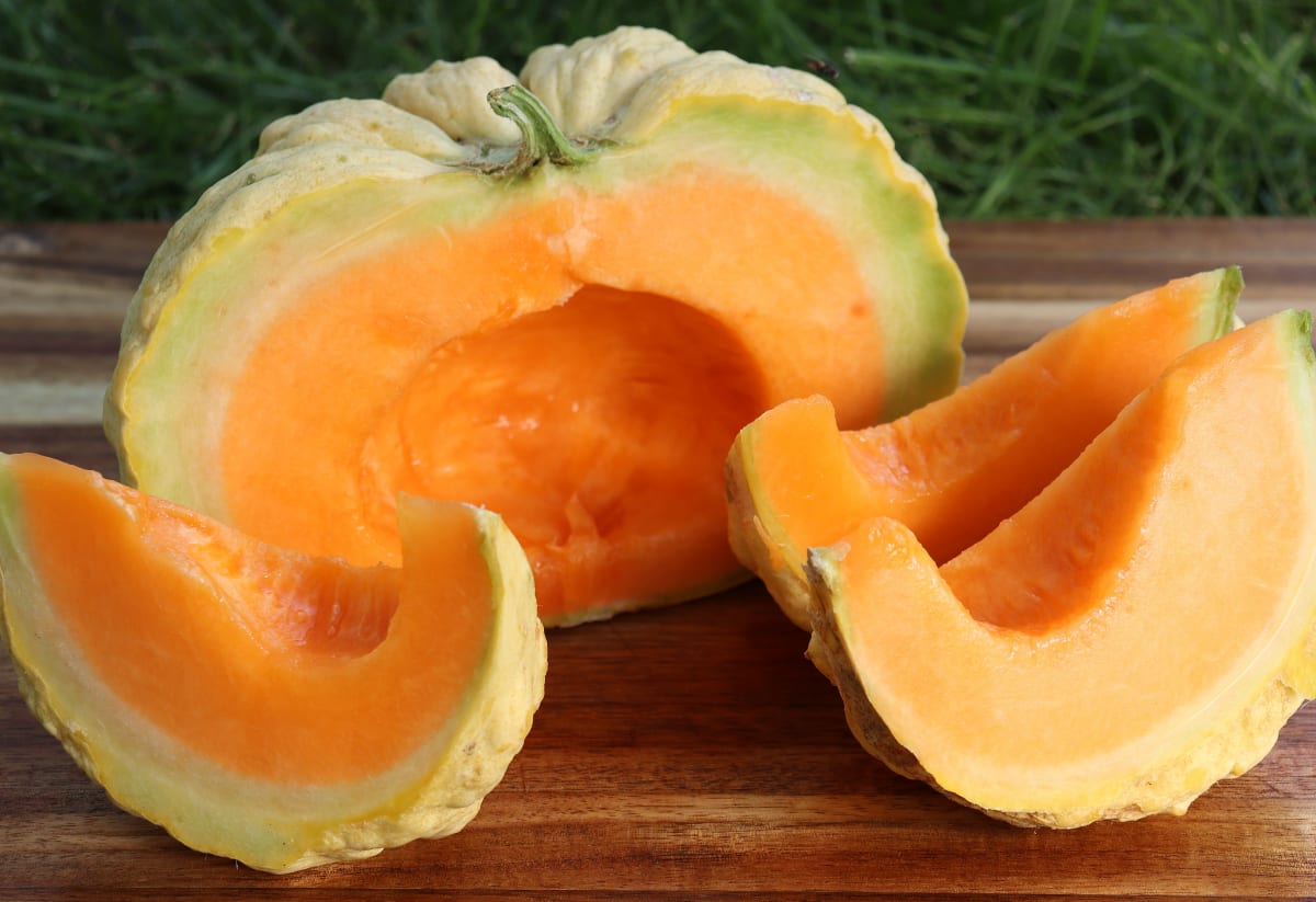 Melon 'Prescott Fond Blanc'