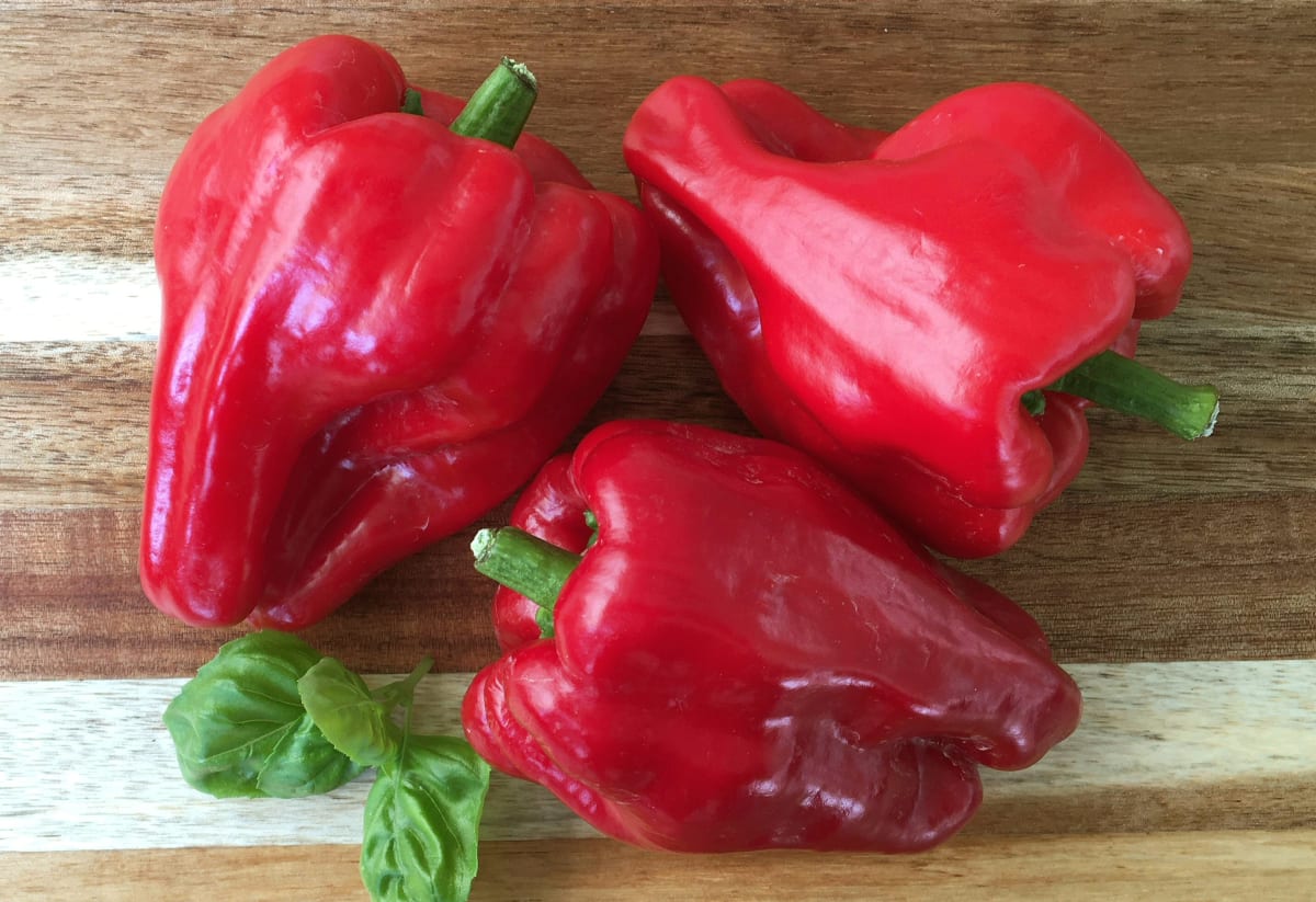 Pepper 'Ausilio Thin Skin Italian'