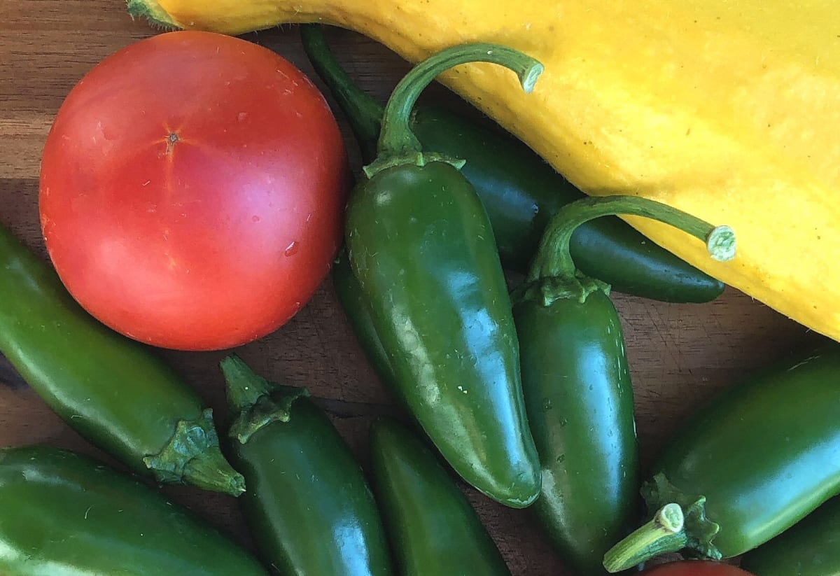 Pepper 'Jalapeno M'