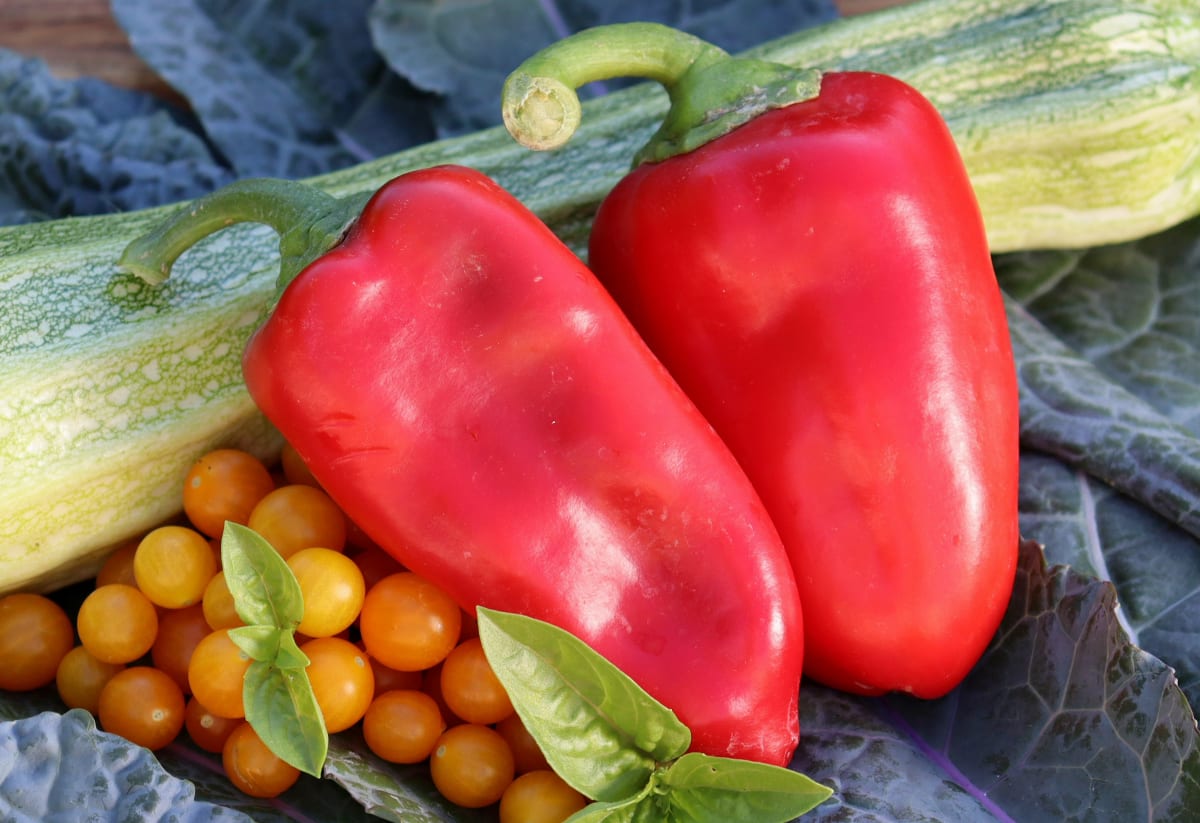 Pepper 'Lipstick'