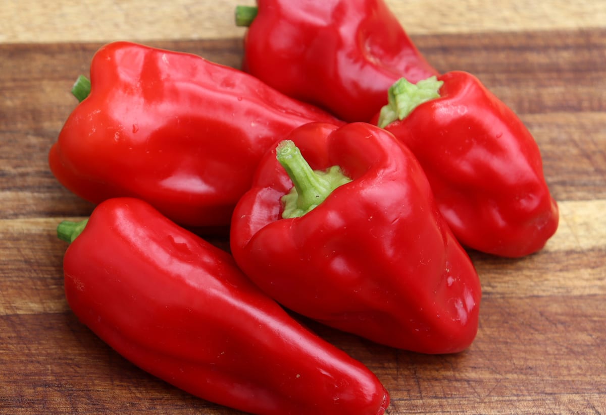Pepper 'Neapolitan'
