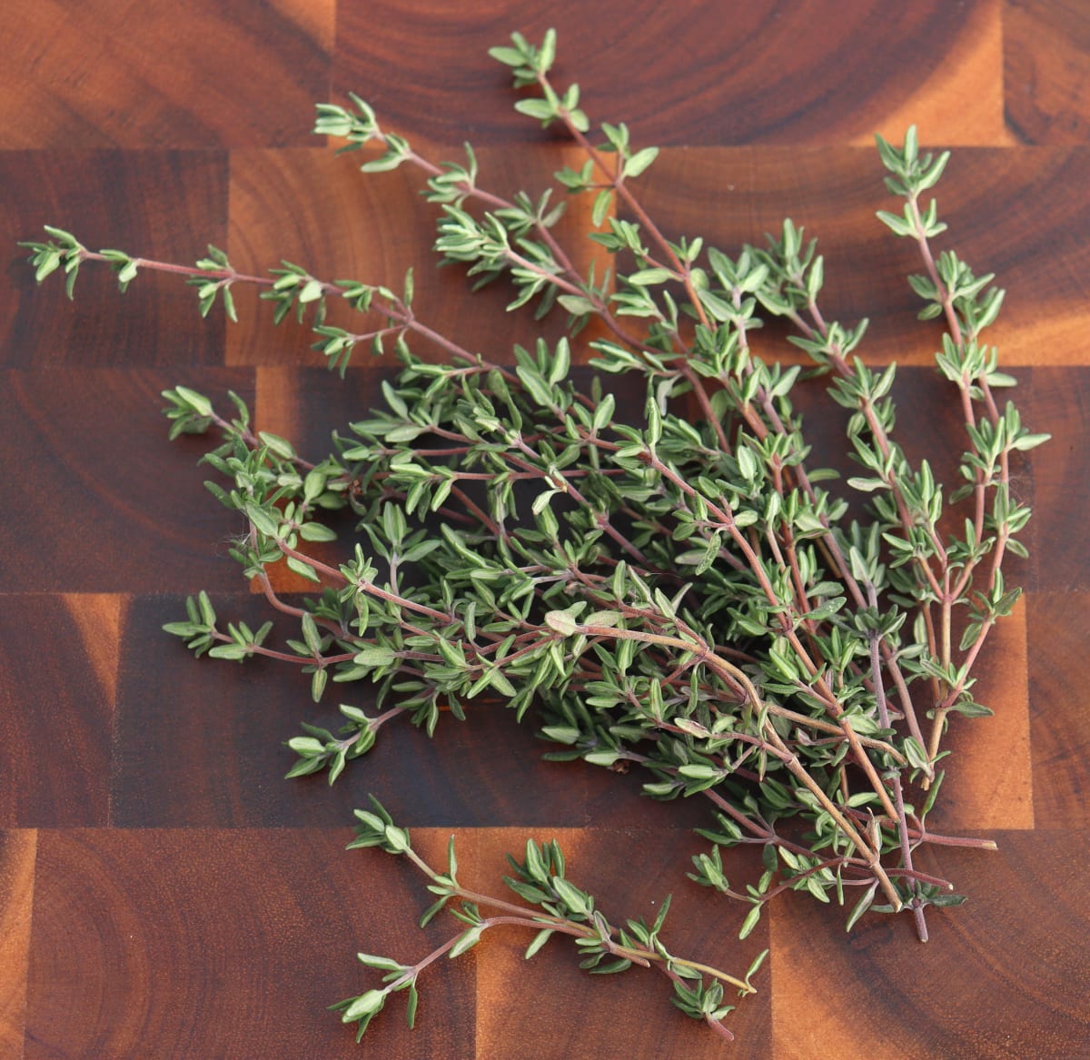 Thyme 'German Winter'