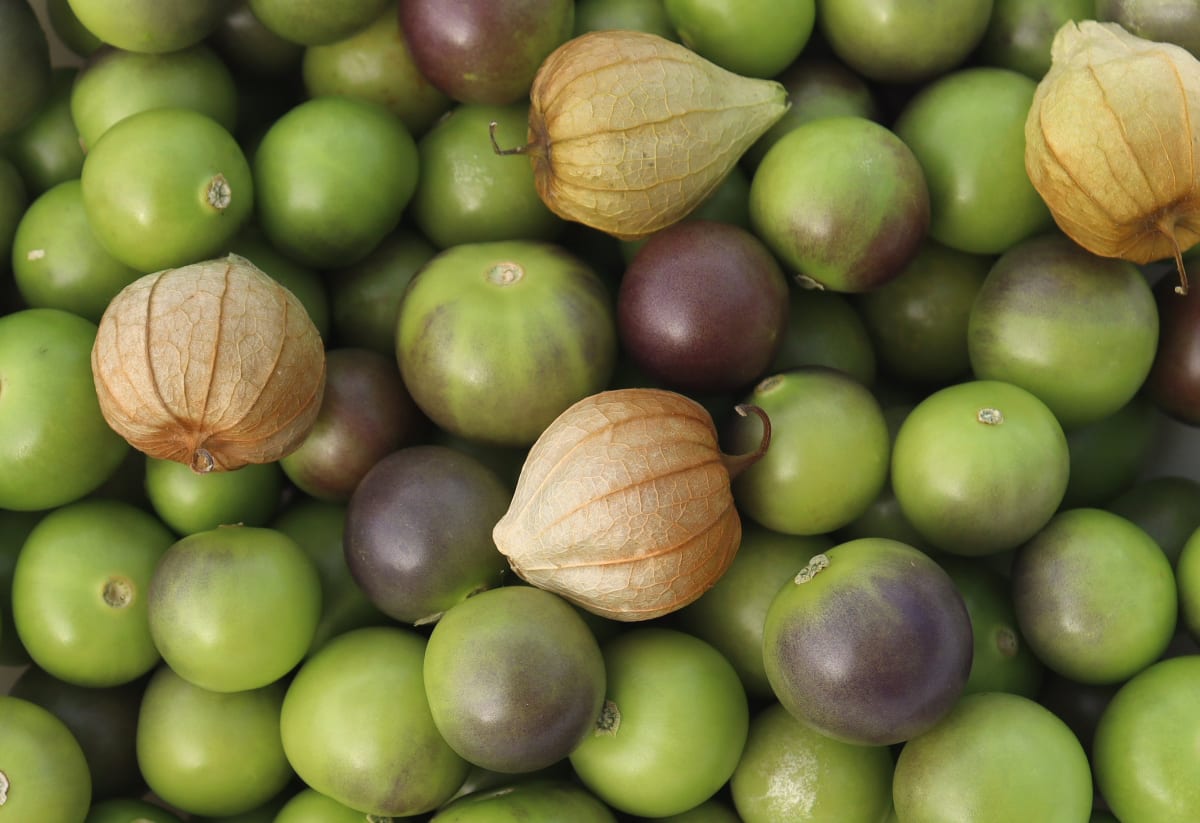 Tomatillo 'Mountain Pima'