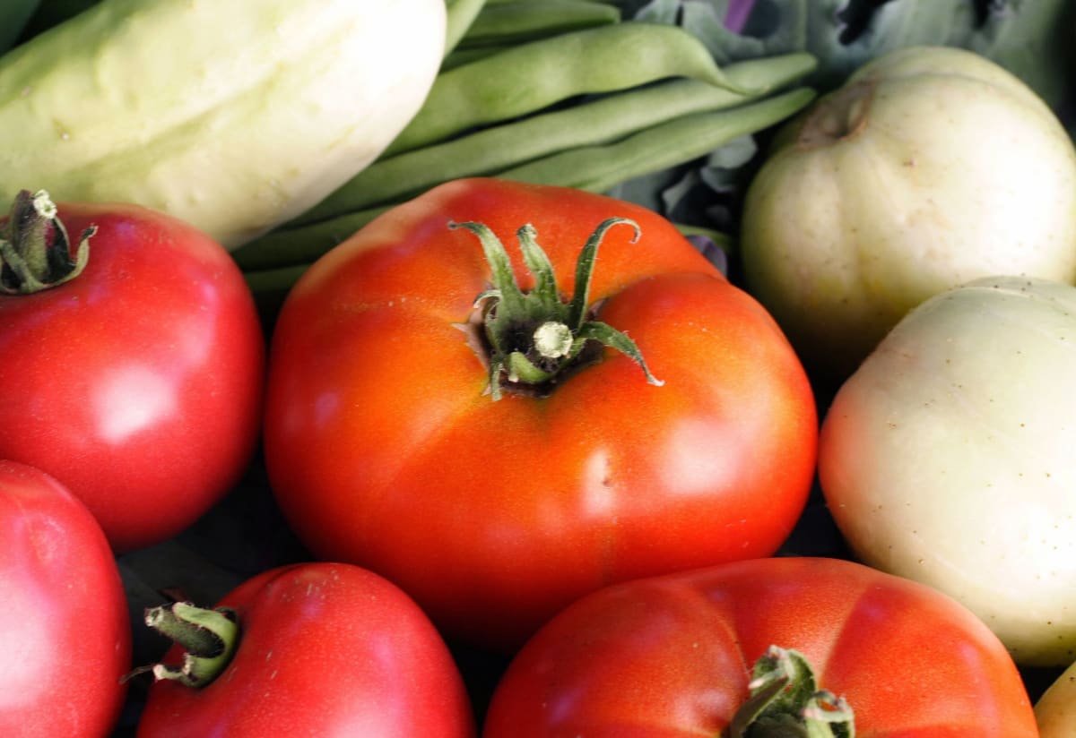 Tomato 'Abe Lincoln'