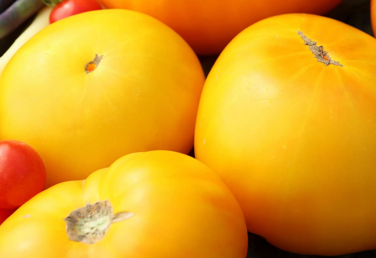 Tomato 'Azoychka'