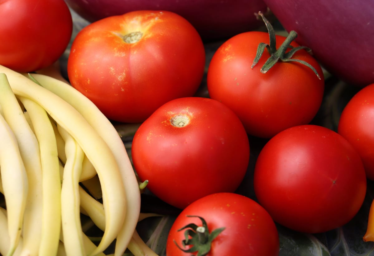 Tomato 'Bulgarian Triumph'