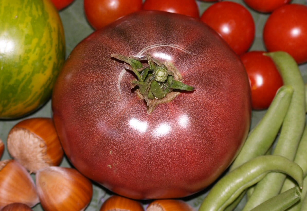 Tomato 'Carbon'