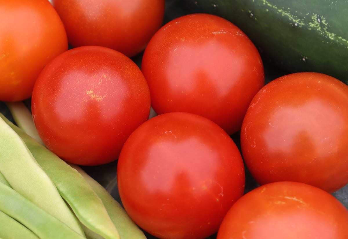 Tomato 'Early Gem'