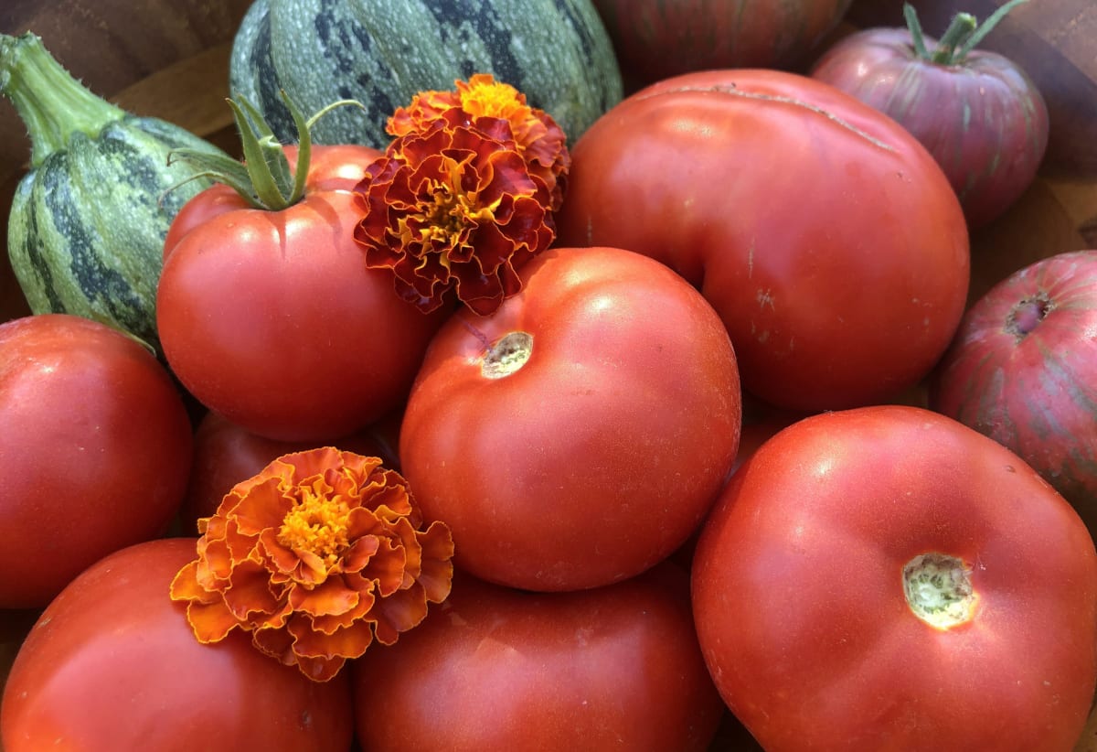 Tomato 'Giant Crimson'