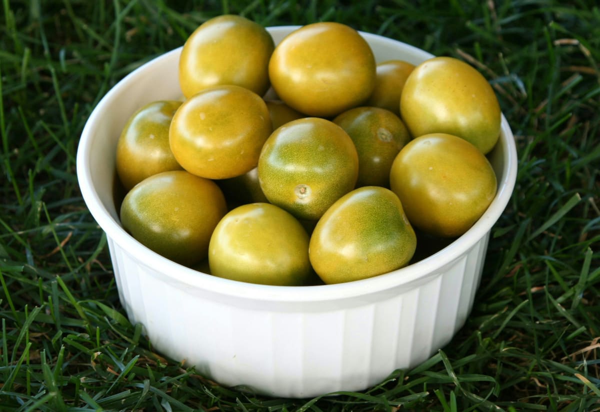 Tomato 'Green Grape'
