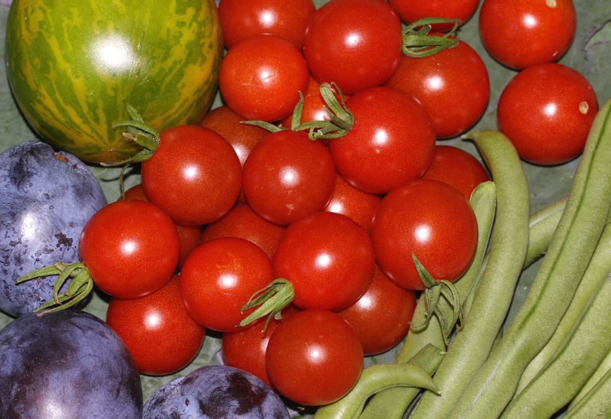 Tomato 'Peacevine Cherry'