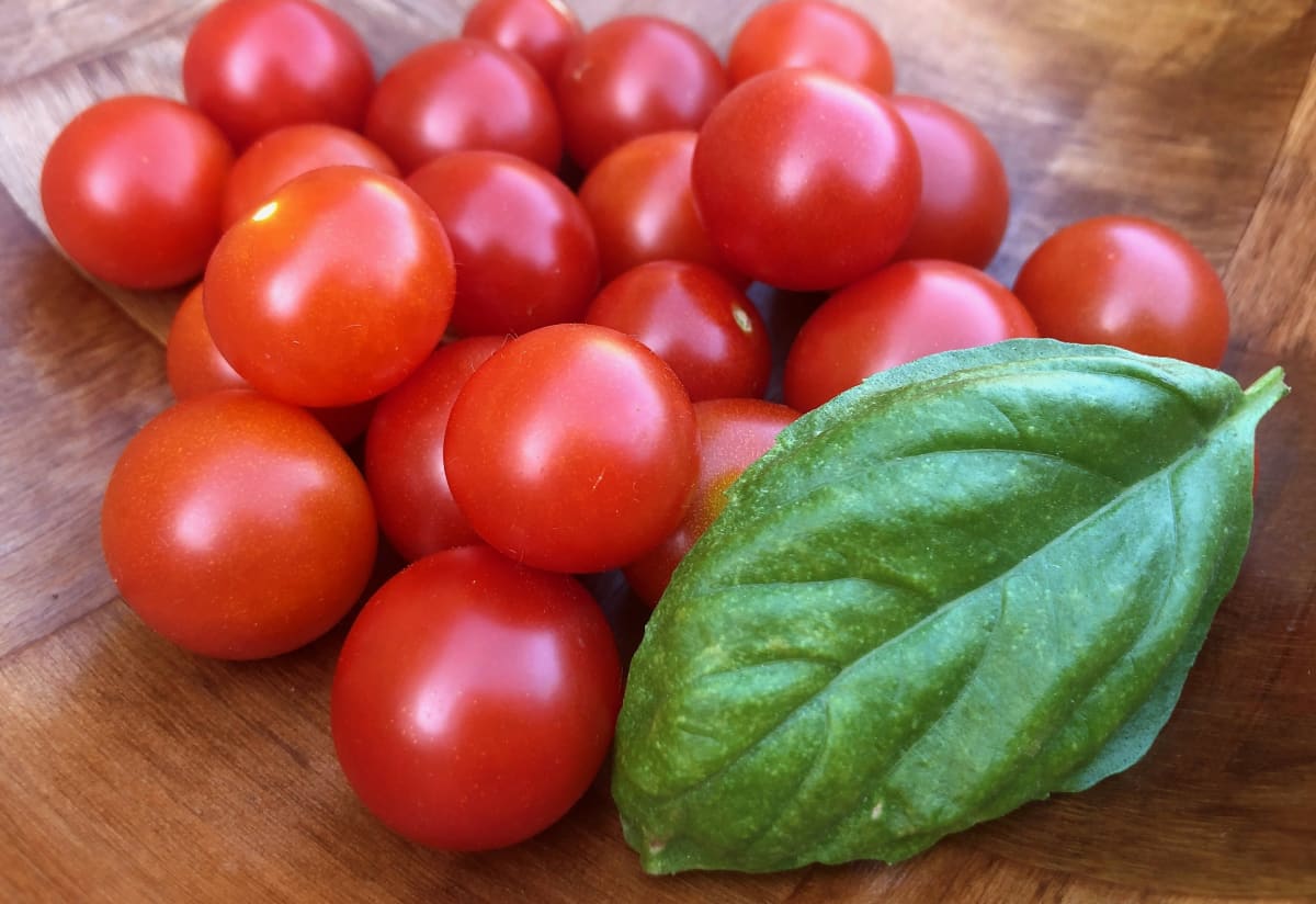 Micro-Dwarf Tomato 'Red Robin'
