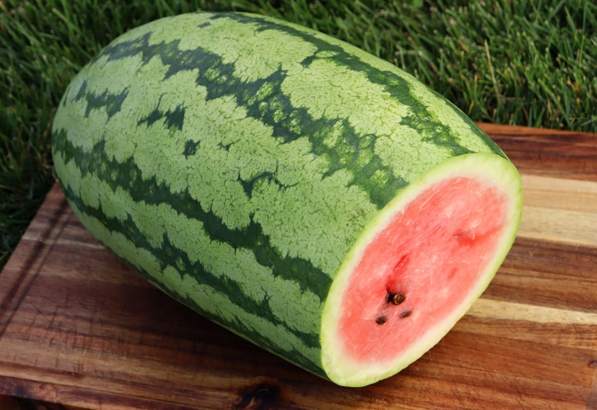 Watermelon 'Georgia Rattlesnake'