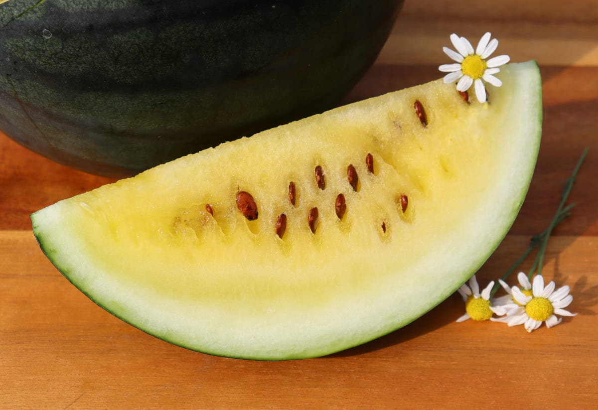 Watermelon 'Janosik'