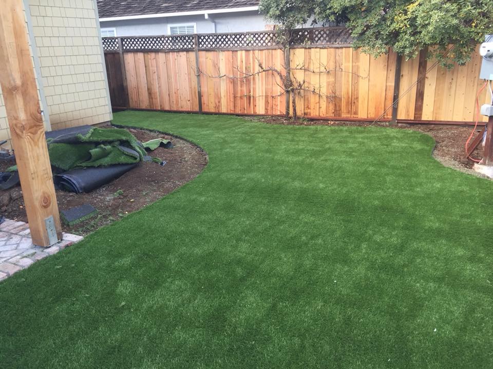 Artificial Turf — image 3