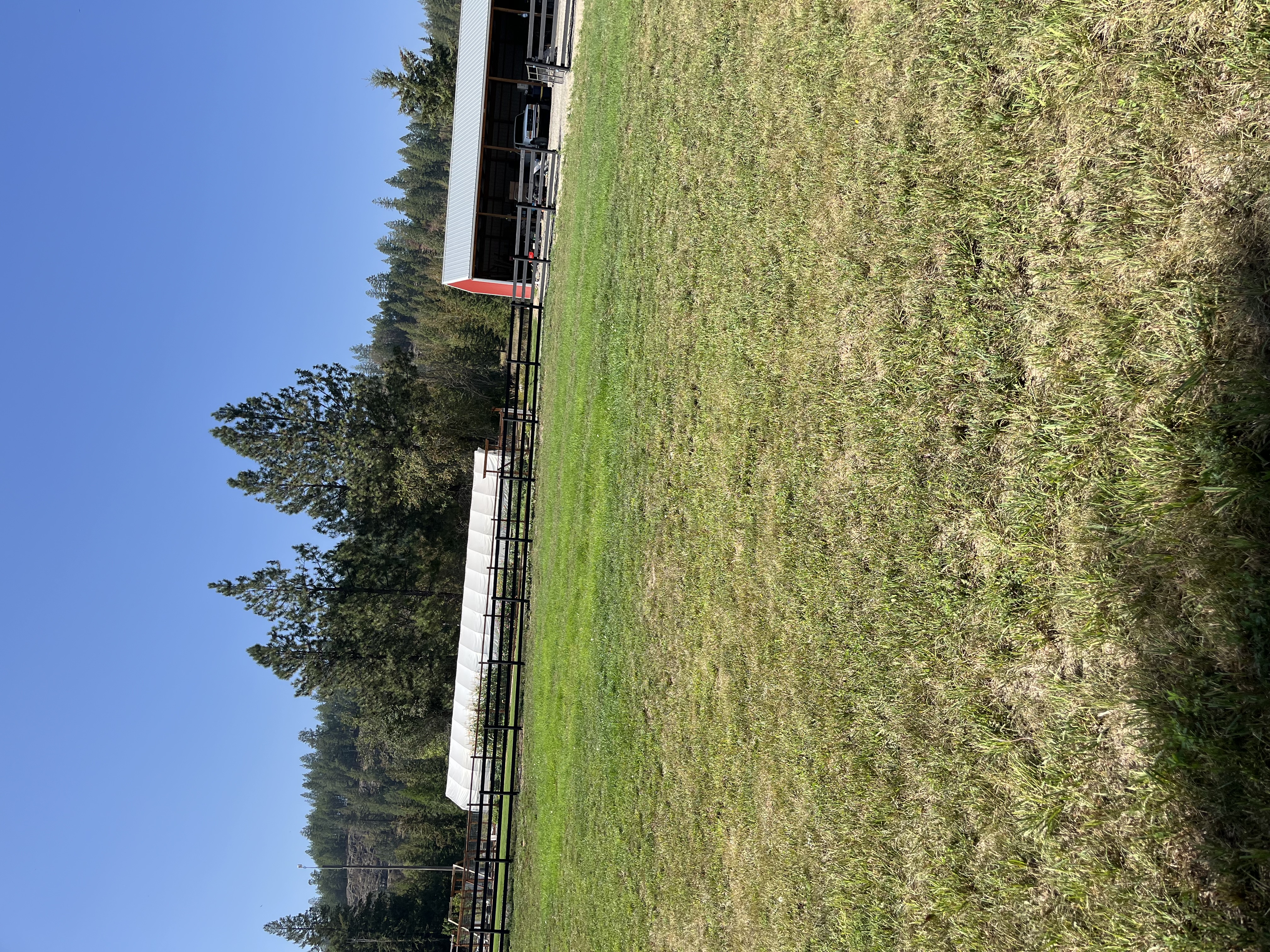 Livestock Fencing — image 16