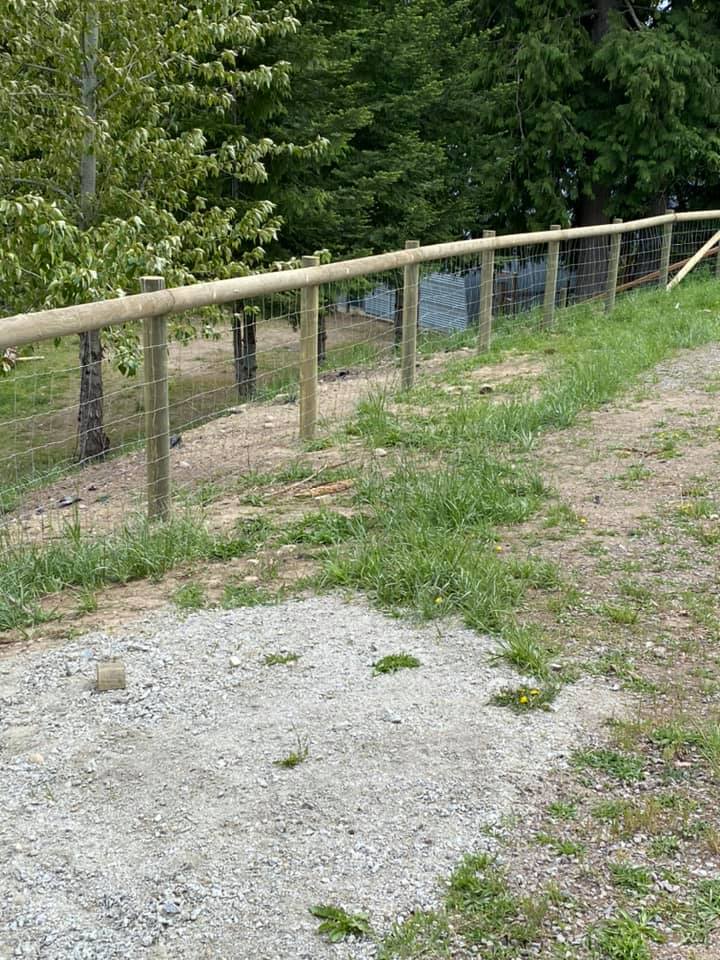 Livestock Fencing — image 10
