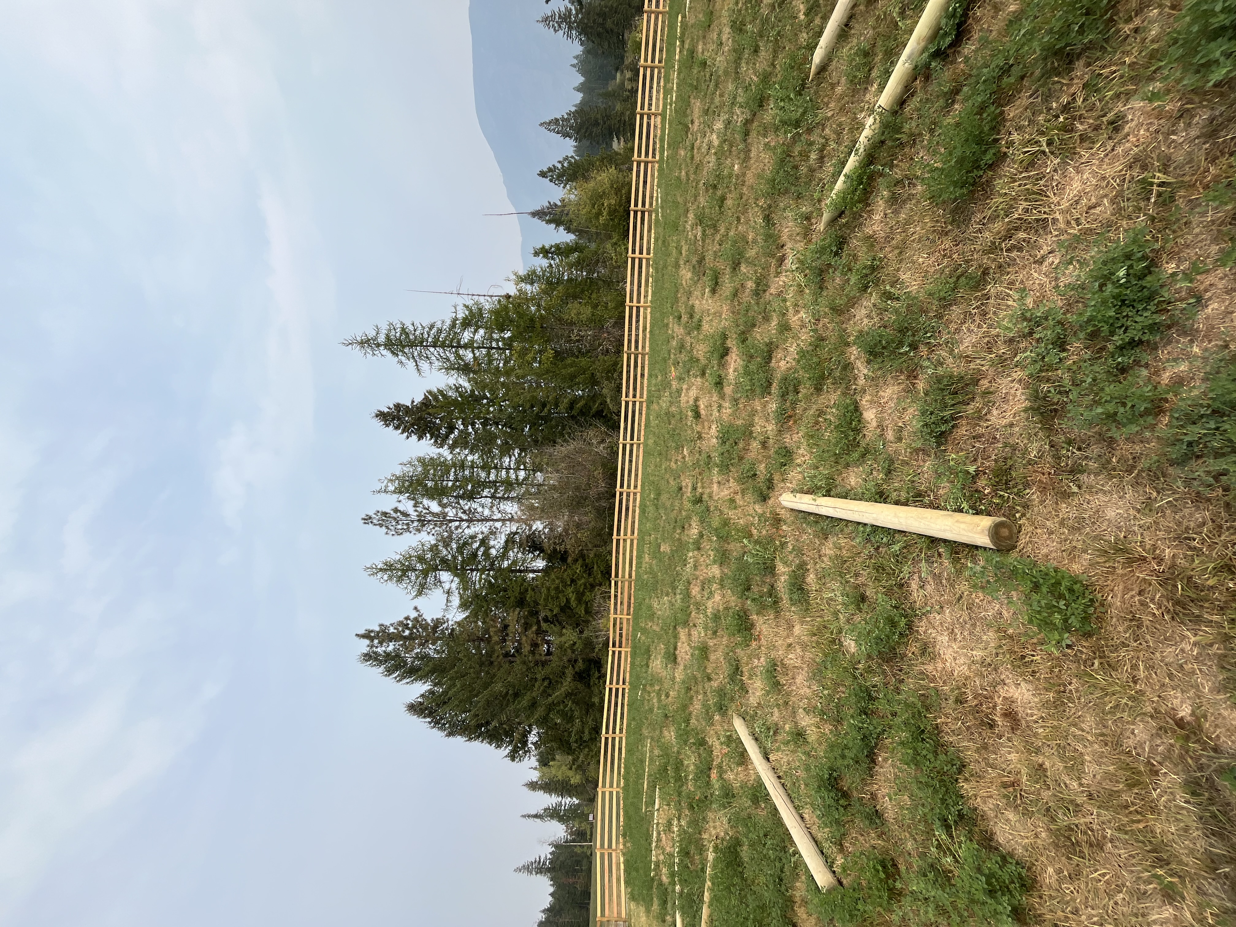 Livestock Fencing — image 8